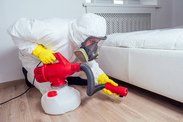 Best Bed Bug Extermination  in Elsberry, MO